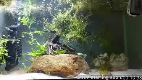 Booker Baxton online show from 03/25/26, 03:01