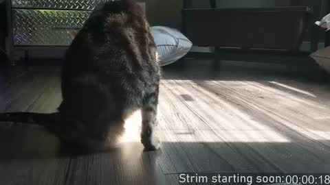 Booker Baxton online show from 04/21/26, 03:02