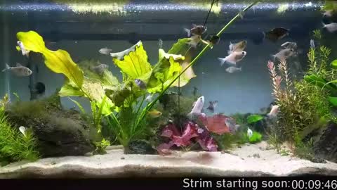 Booker Baxton online show from 04/22/26, 02:58