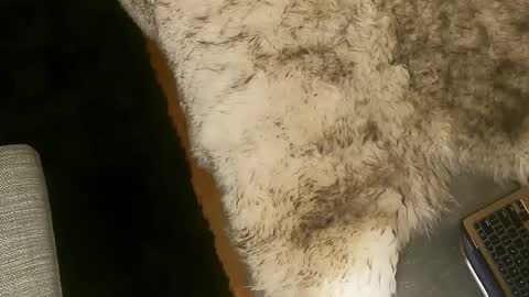 Snapshot of booty_andthe_beast chatting on 03/07/25, 02:25 Kim and Kooper online show from 03/07/25, 02:25