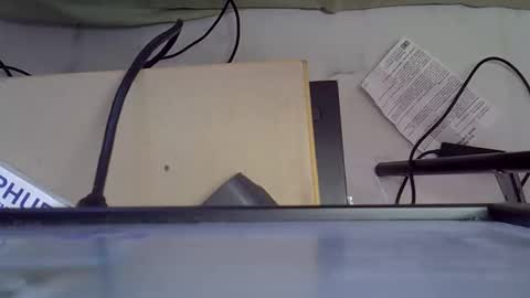 Snapshot of booty_lolah17 chatting on 05/05/26, 10:12 LOLAH online show from 05/05/26, 10:12