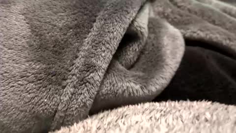 Borderslad1101 online show from 11/23/25, 03:56