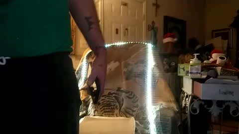 boredaf6678 online show from 12/25/24, 09:34