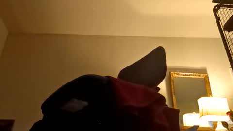 boredaf6678 online show from 02/09/26, 11:53