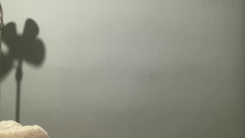 boselythornton1 online show from 03/29/26, 06:57