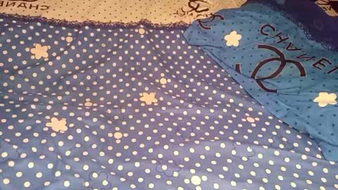 bossetassy online show from 12/16/25, 04:45