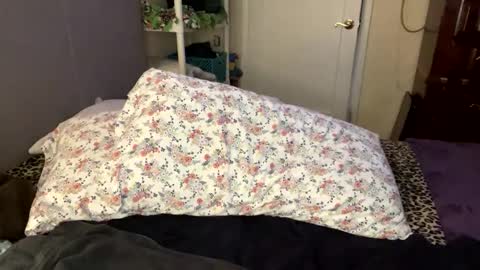 Snapshot of bossmomma chatting on 02/21/25, 05:42 BossMom online show from 02/21/25, 05:42