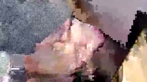 bossram160 online show from 09/27/25, 07:52