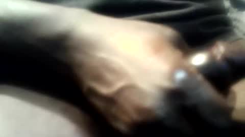 botofogo online show from 12/01/25, 05:12