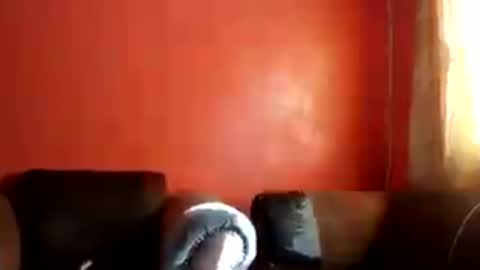 botsougaba online show from 07/27/26, 07:48