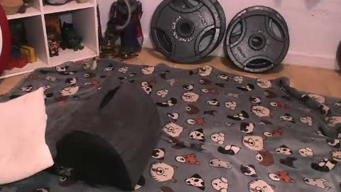 Pumpkin Butt online show from 04/10/26, 06:29