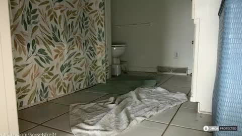 boysetsfire34 online show from 02/18/26, 05:53