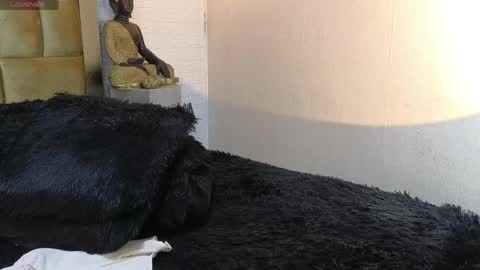 Brand  online show from 04/07/26, 11:48