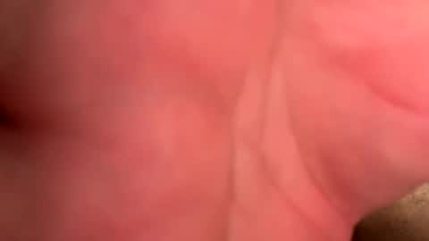 Branden online show from 04/15/26, 09:59