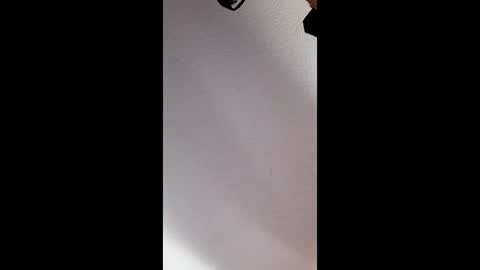 brandon281997 online show from 04/17/26, 06:44