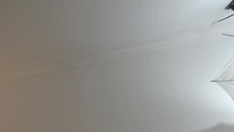 BrandonCole online show from 02/10/25, 12:29