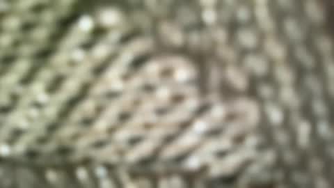 Snapshot of brandonconrad chatting on 02/07/26, 06:44 brandonconrad online show from 02/07/26, 06:44