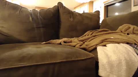 Snapshot of brandondot chatting on 02/03/25, 05:51 brandondot online show from 02/03/25, 05:51