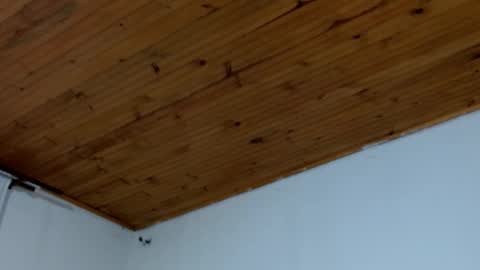 Brandon online show from 03/16/26, 12:17