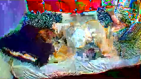 brandy_angell online show from 12/04/24, 09:57