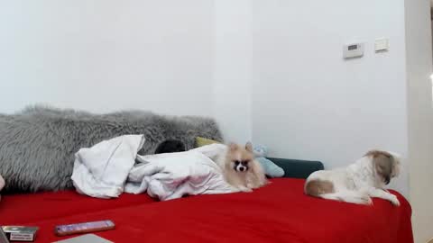 bratzdoll1994 online show from 11/04/25, 05:12