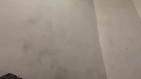 breanexe online show from 10/29/25, 11:01