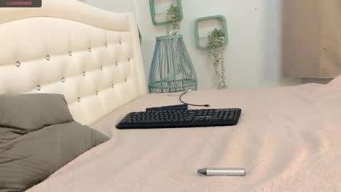 Snapshot of brell_line chatting on 02/12/25, 01:27 Brelland online show from 02/12/25, 01:27