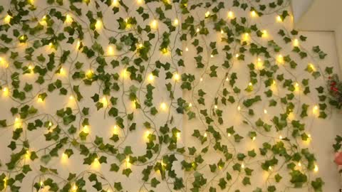 Brenda online show from 01/05/25, 09:25