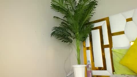 Snapshot of brennan007 chatting on 01/30/25, 06:00 brennan online show from 01/30/25, 06:00