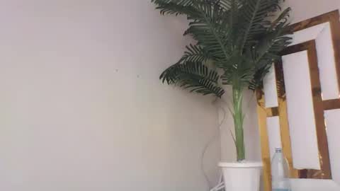 Snapshot of brennan007 chatting on 02/14/25, 08:26 brennan online show from 02/14/25, 08:26