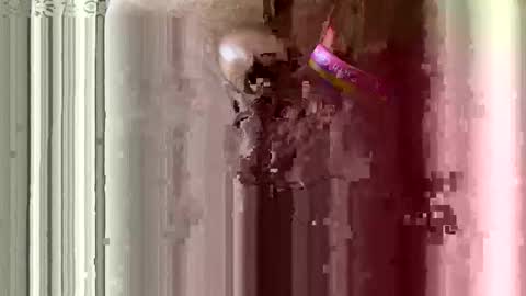 Snapshot of brewfan65 chatting on 10/24/25, 08:49 brewfan65 online show from 10/24/25, 08:49