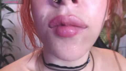 Bri  online show from 02/08/26, 10:24