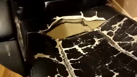 Snapshot of brian0169 chatting on 12/14/25, 01:33 BB online show from 12/14/25, 01:33