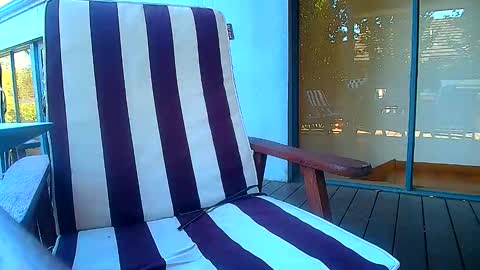 Fun Monster online show from 02/20/26, 06:19