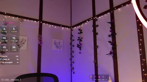 Brie  Ill be away November 2829 and 30. See u on Sunday for more fun online show from 02/12/25, 08:07