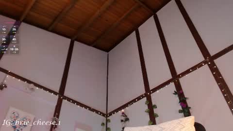 Snapshot of brie_cheese1 chatting on 07/28/26, 04:39 Brie Ill be away November 2829 and 30. See u on Sunday for more fun online show from 07/28/26, 04:39