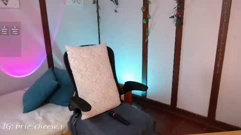 Snapshot of brie_cheese1 chatting on 07/28/26, 08:52 Brie Ill be away November 2829 and 30. See u on Sunday for more fun online show from 07/28/26, 08:52