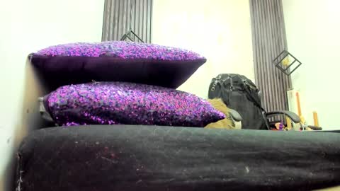 BRIGITTE online show from 03/11/25, 08:31