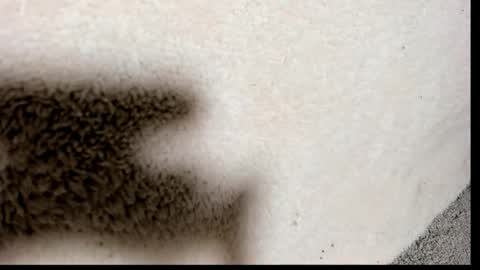 brockhurn_ online show from 09/15/25, 02:00