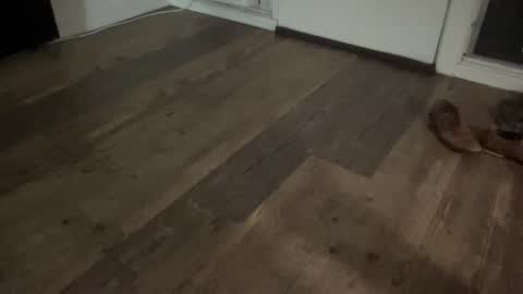 Broke Hung College Guy online show from 02/13/26, 05:47