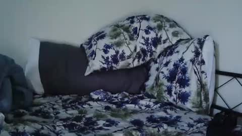 Bruc12168 fit slim new makemecum bigdick edging online show from 02/20/25, 12:04