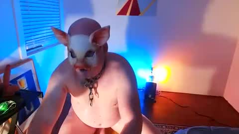 bottom freak online show from 02/08/25, 10:29