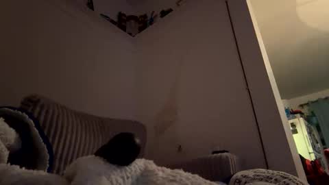 Snapshot of bubblya chatting on 02/20/26, 06:19 bubblya online show from 02/20/26, 06:19