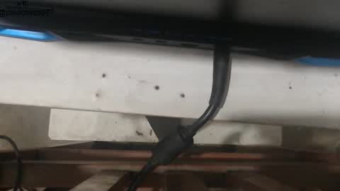 buldgeinboxer online show from 01/18/26, 05:33