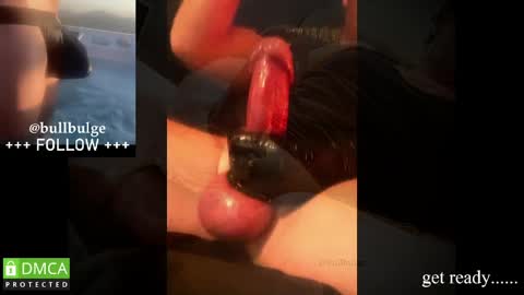 Bull. online show from 05/19/26, 03:02