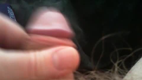 bullemoe online show from 03/06/26, 07:05