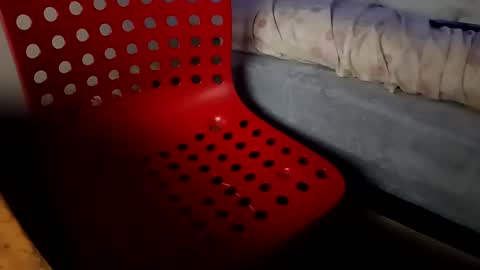 bullspain27266272 online show from 01/26/25, 04:41