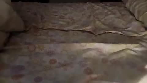 bullspain27266272 online show from 03/03/25, 04:47