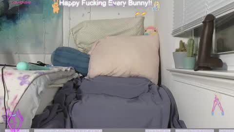 Snapshot of bunnycheekz chatting on 12/04/24, 11:24 Tokki bunny online show from 12/04/24, 11:24