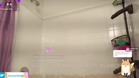 Snapshot of bunnycheekz chatting on 02/02/26, 05:06 Tokki bunny online show from 02/02/26, 05:06